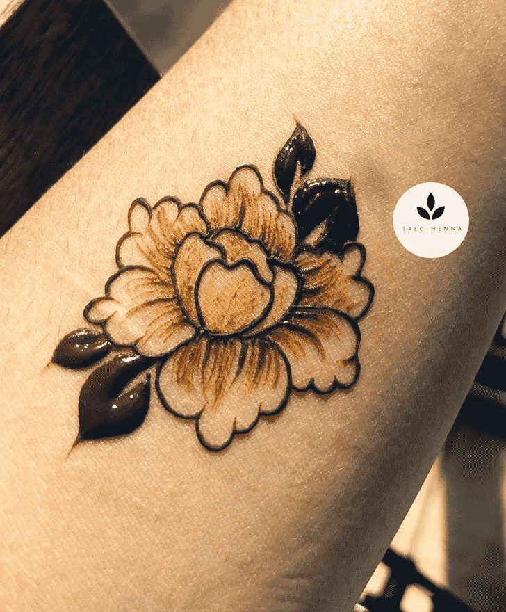 Stunning Rome Henna Design