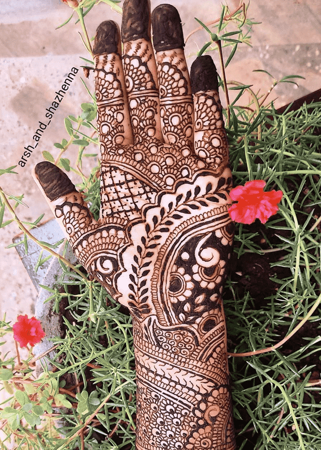 Mesmeric Aurangabad Henna Design