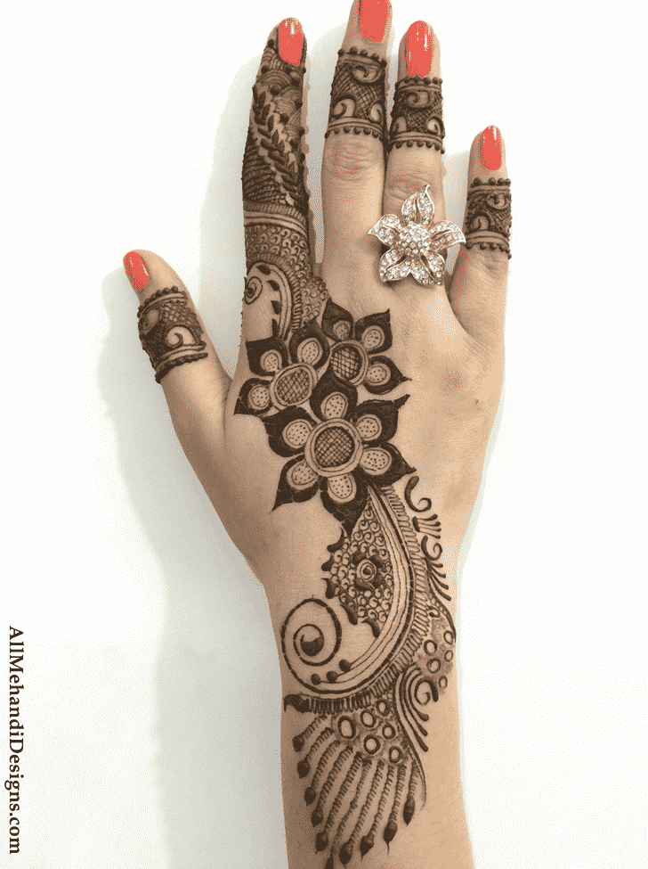 Gorgeous Beautiful Henna Design