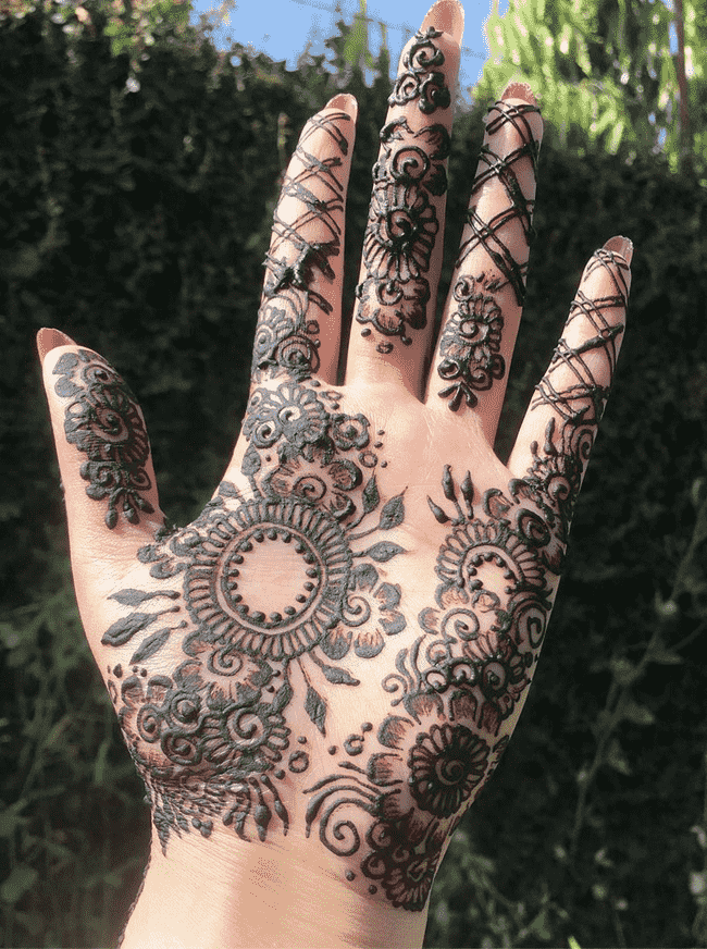 Resplendent Biratnagar Henna Design