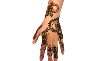 Gangaur Mehndi Design