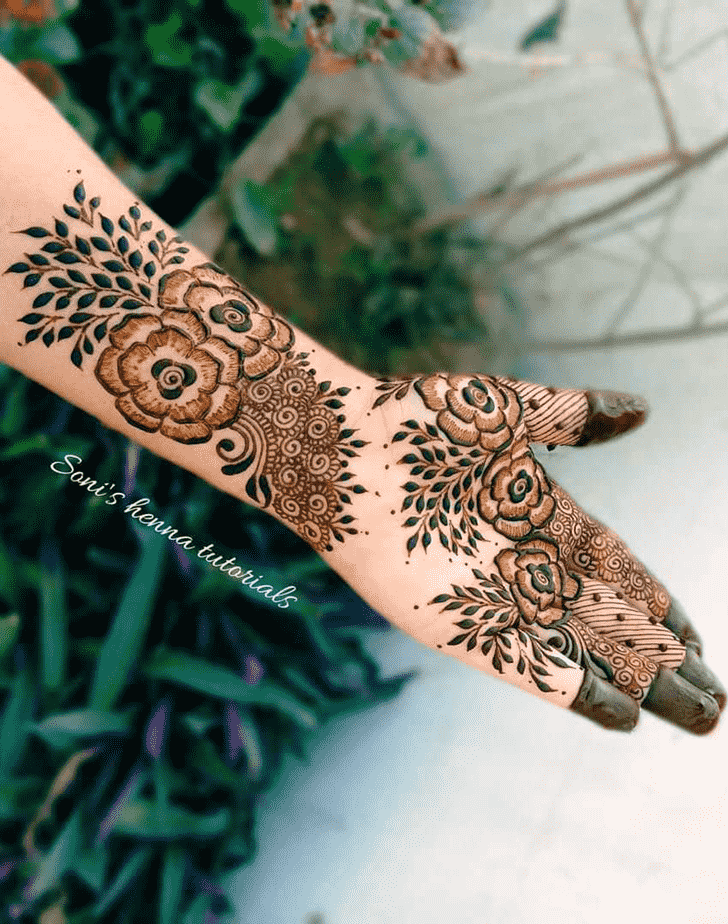 Ravishing Illinois Henna Design