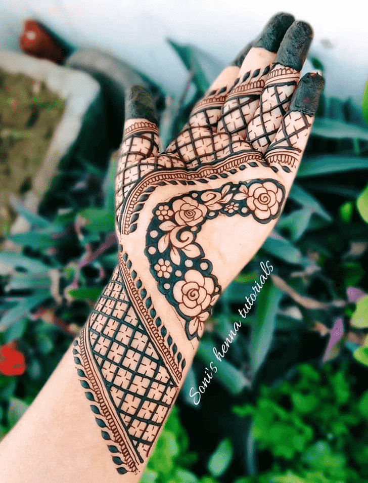 Superb Illinois Henna Design