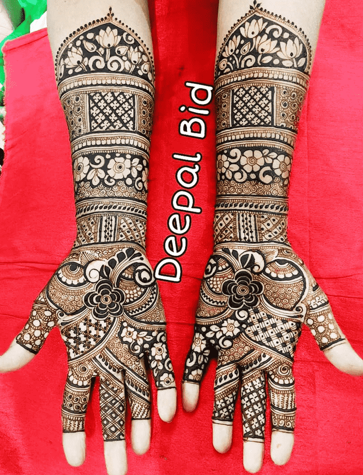 Fine Indo Western Henna Design