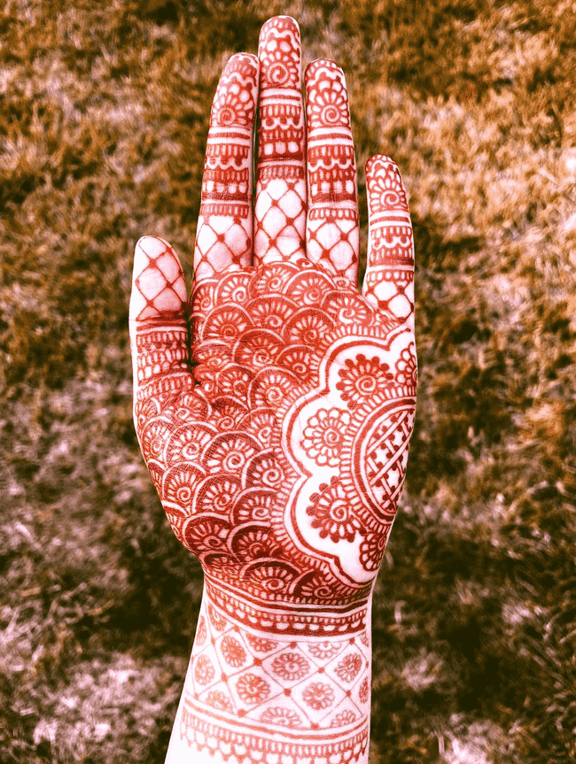 Good Looking Muktagacha Henna Design