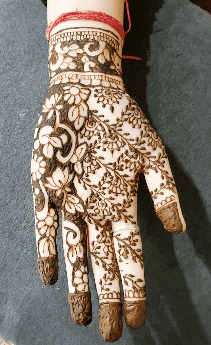 Elegant Panjabi Henna Design