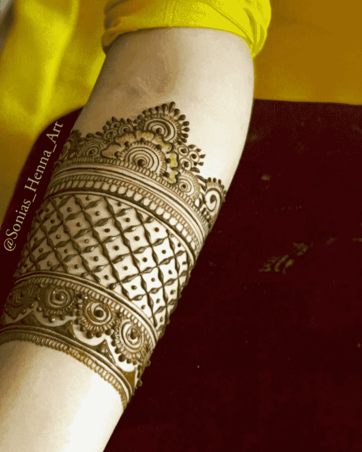 Admirable Professional Mehndi Design