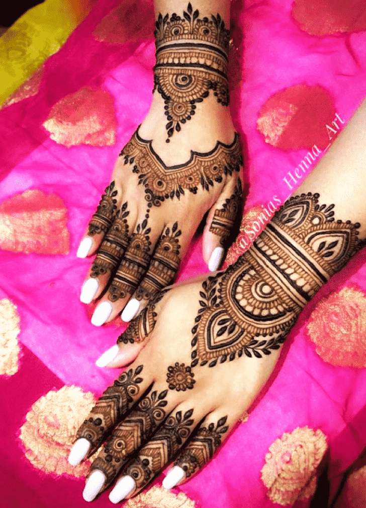 Enticing Professional Henna Design