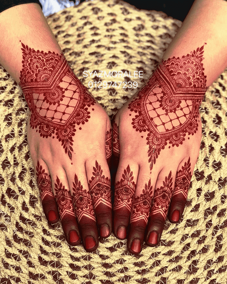Enticing Rohtang Henna Design