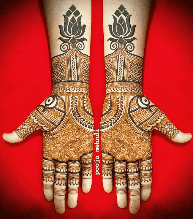 Slightly sialkot Henna Design